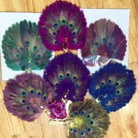 Quạt hầu lông chim Trĩ phối lông công đủ mầu