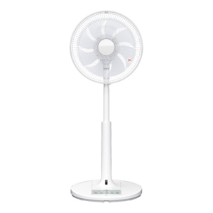 Quạt Hitachi HEF-DL300D