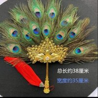 Quạt lông công