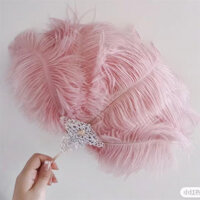 Quạt lông vũ cổ Quạt đà điểu Hanfu Phụ kiện biểu diễn sân khấu Khiêu vũ Quạt trẻ em Chụp ảnh Nhóm sáng tạo Quạt cầm tay