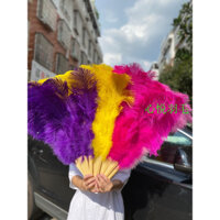 Quạt Lông Vũ Đà Điểu Dùng Biểu Diễn Múa Bụng