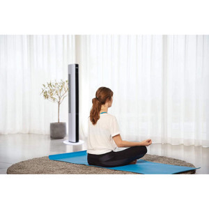 Quạt tháp Benny BF-TW2R