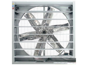 Quạt thông gió công nghiệp iFAN-48C