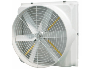 Quạt thông gió IFan 106A