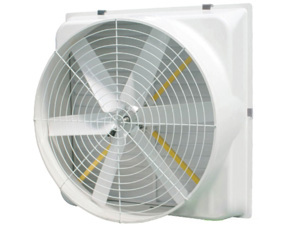 Quạt thông gió IFan 146A