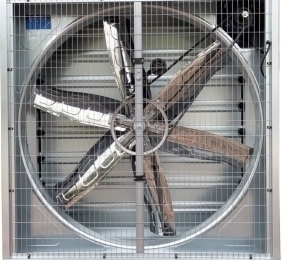 Quạt thông gió vuông Hawin HSW-1000