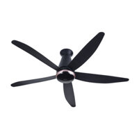Quạt trần 5 cánh Panasonic F-60FEN