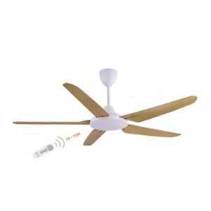 Quạt trần AC Asia QT05-G-01