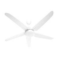 Quạt trần AC DC inverter ACF02D525