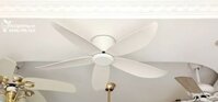 Quạt trần cổ ngắn QT008
