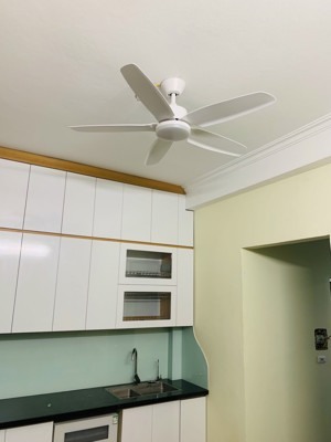 Quạt trần đèn Airfusion 5 cánh 0717