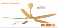 Quạt trần đèn cao cấp QT09- ASIACam kết hàng chính hãng - Gô phong cach