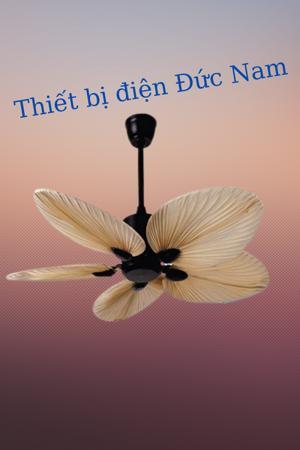 Quạt trần 5 cánh QT-2843