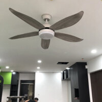 Quạt trần đèn sải cánh ngắn cho phòng nhỏ trần thấp,động cơ DC 6 chế độ mát có đảo ngược chiều TDCL