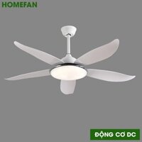 Quạt trần đèn trang trí cao cấp HL-FAN806