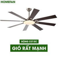 Quạt trần đèn trang trí cao cấp HL-FAN809