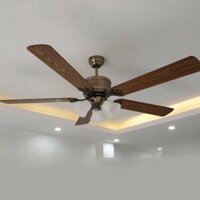 Quạt trần đèn trang trí cao cấp sang trọng HL-FAN900