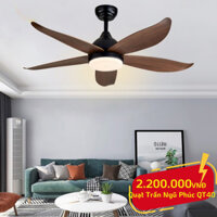 Quạt Trần Đẹp | Quạt Trần Đèn Gió Mạnh | Quạt Trần Phú Qúy - 3 Chế Độ Sáng