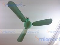 Quạt trần Điện cơ 91