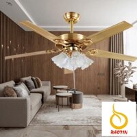 Quạt Trần Động Cơ DC ,6 Cấp Độ Gió,Đèn Led 3 Chế Độ Sáng,Công Suất 90W -Bảo Hành 10 Năm
