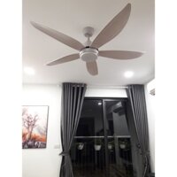Quạt TRần động cơ DC 6 số ( động cơ lõi đông 100%)