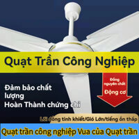Quạt trần gia dụng 56 inch quạt đứng 1400mm quạt điện quạt máy Quạt trần lớp học công nghiệp lớn
