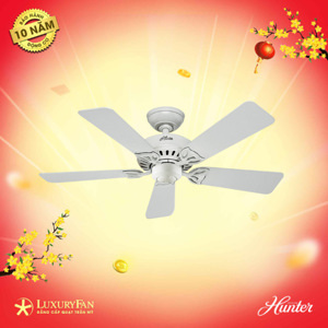 Quạt trần Hunter Beacon Hill