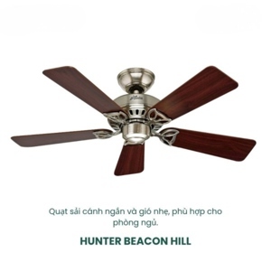 Quạt trần Hunter Beacon Hill