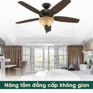 Quạt trần Hunter Builder Deluxe 5 cánh 50572