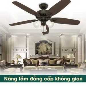 Quạt trần 5 cánh Hunter Builder Plus