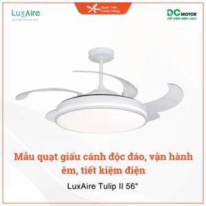 Quạt trần đèn 4 cánh LuxAire Tulip