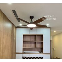 Quạt trần, Mã HTCF-132GN5 (Tiết kiệm điện 50%)