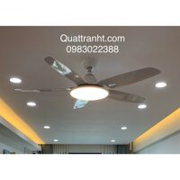 Quạt trần, Mã HTCF-132T5 (Tiết kiệm điện 50%)