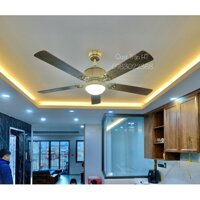Quạt trần, Mã HTCF-142GN5 (Tiết kiệm 50% điện)
