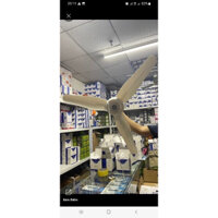 quạt Trần mini cỡ đại HY1050mm hàng đẹp