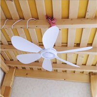 Quạt trần mini, quạt màn loại 3 cánh, 4 cánh, 5 cánh. Động cơ không chổi than siêu êm