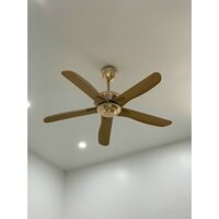 Quạt Trần QT666SJ- Công Xuất 90W- Động Cơ DC Lõi Đồng, Có Điều Từ Xa Tặng Kèm Móc Cao Su Treo Quạt [Bảo Hành 5 năm]