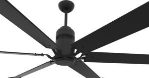 Quạt trần 6 cánh Royal Fortis