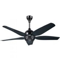 Quạt trần trang trí AlphaFan SWM8-5B