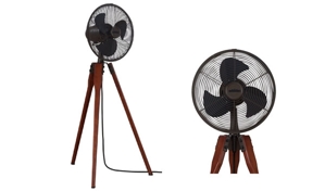 Quạt trần trang trí Fanimation Arden