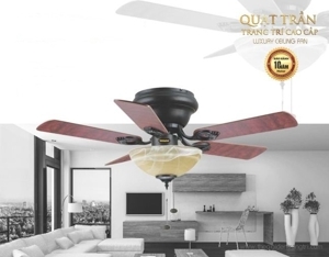 Quạt trần đèn Tuvaco 5 cánh C202-07