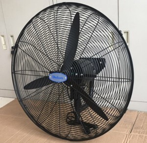 Quạt treo tường Deton DFP600-TW