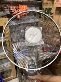 Quạt treo tường Hali CÓ REMOTE TR-1 Hàng chính hãng - Màu Ngẫu Nhiên