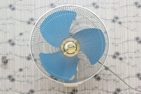 Quạt treo tường Panasonic F-409UB