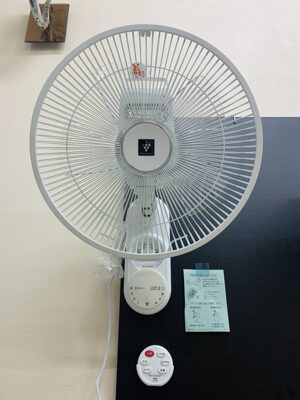 Quạt treo tường Sharp PJ-N3AK