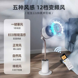 Quạt tuần hoàn không khí kèm đèn Daewoo F30 Max