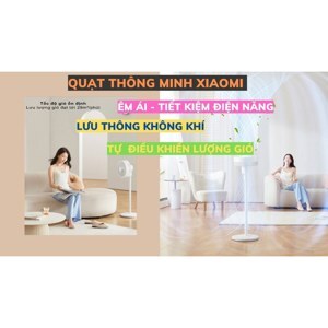 Quạt tuần hoàn không khí Xiaomi BPLDS06DM