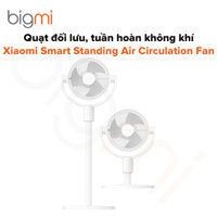 Quạt Xiaomi Smart Standing Air Circulation Fan BHR9849EU đối lưu, tuần hoàn không khí – Bản Quốc Tế
