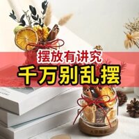 Quế Làm Tiền Chai Tóc Thơm Quế DIY Hoa Khô Chất Liệu Gói Tân Gia Mới Trang Trí Nhà Cửa Đồ Trang Trí Tiền Đồ Trang Trí