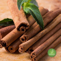 Quế nhục - Tác dụng hỗ trợ hạ sốt, chống co giật, chống tắc nghẽn mạch, chống tắc huyết khối, chống viêm, kháng khuẩn JD331 quenhuc